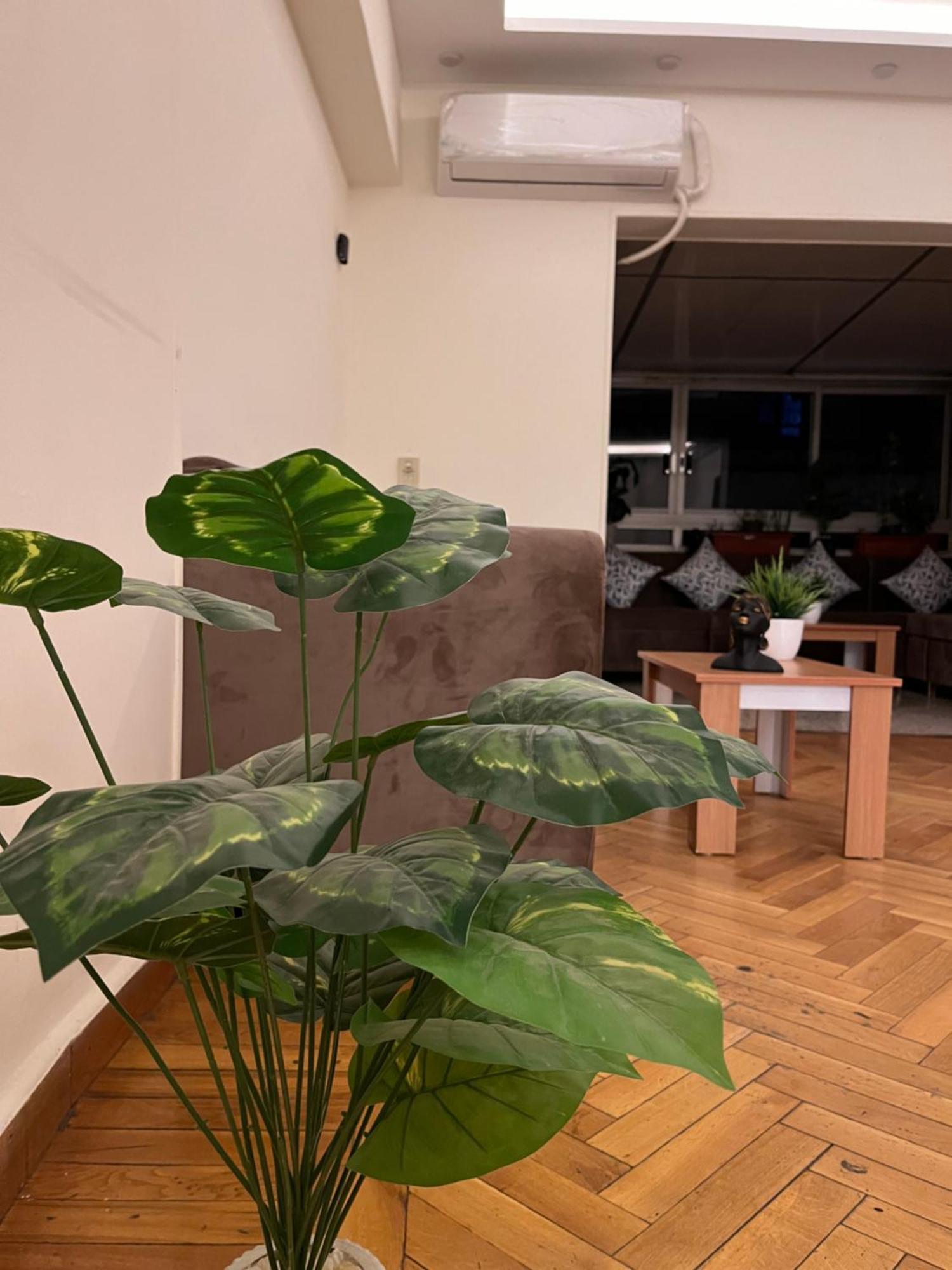 Casa *